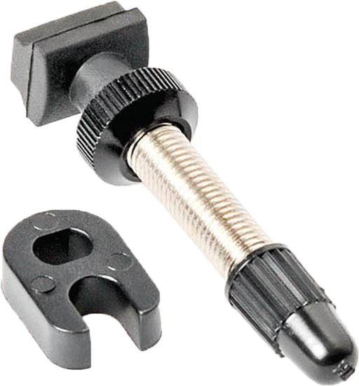 Valvula DT SWISS de tubeless 40mm